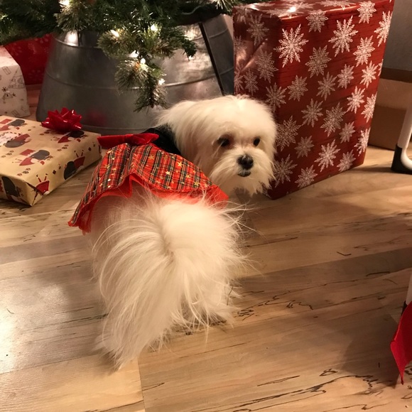 Stop by and say hi!  I will say hi and follow you - Picture 5 of 5